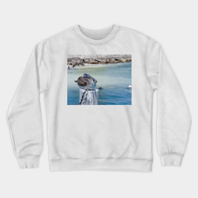 Pelican Bay Crewneck Sweatshirt by randymir